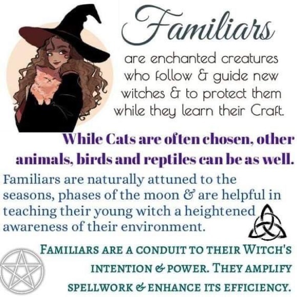 $3 WITCH CAT PIN BROOCH. ENAMEL METAL. NEW. $3 IF BUNDLED - Picture 12 of 16